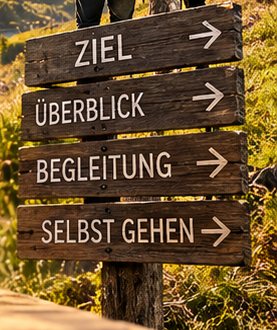 Wegweiser: Ziel, Überblick, Begleitung, Selbst gehen